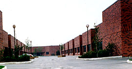 Golden Falcon Court 01